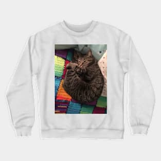 Sleepy Spiral Crewneck Sweatshirt